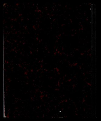 0101.jpg